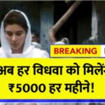 Widow Pension Scheme 2025
