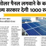 Free Solar Panel